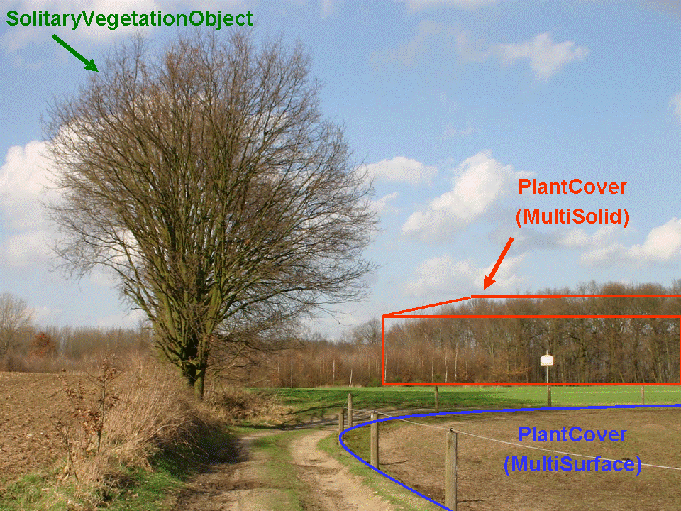 ../../_images/citydb_example_vegetation_model.png